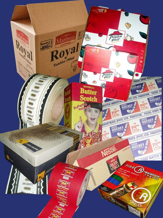 About Us – Anipack Packaging Industries Pvt. Ltd